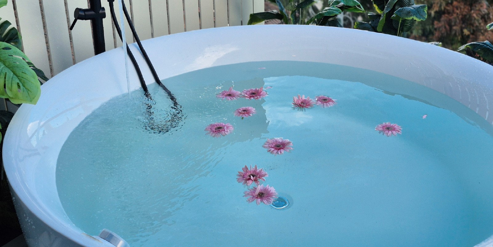 2 Bedroom Grand Tropical