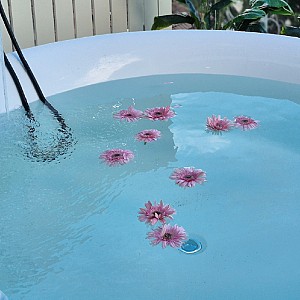 2 Bedroom Grand Tropical